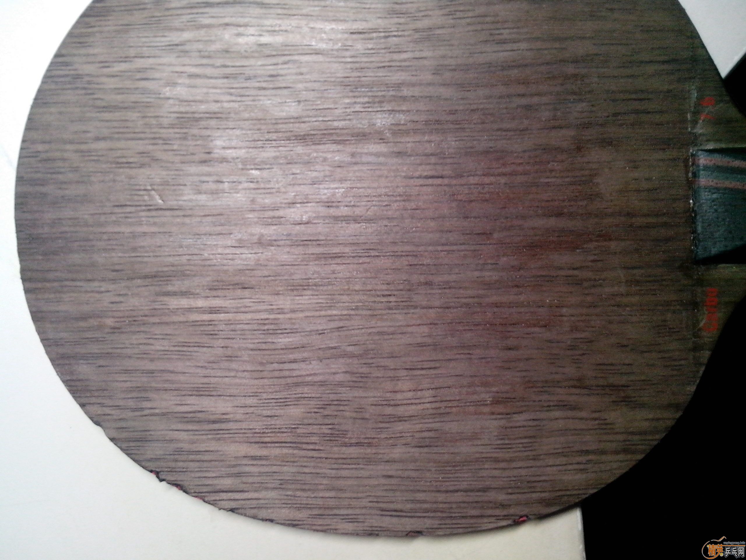 ����ʤ�л�98��M�����̼��