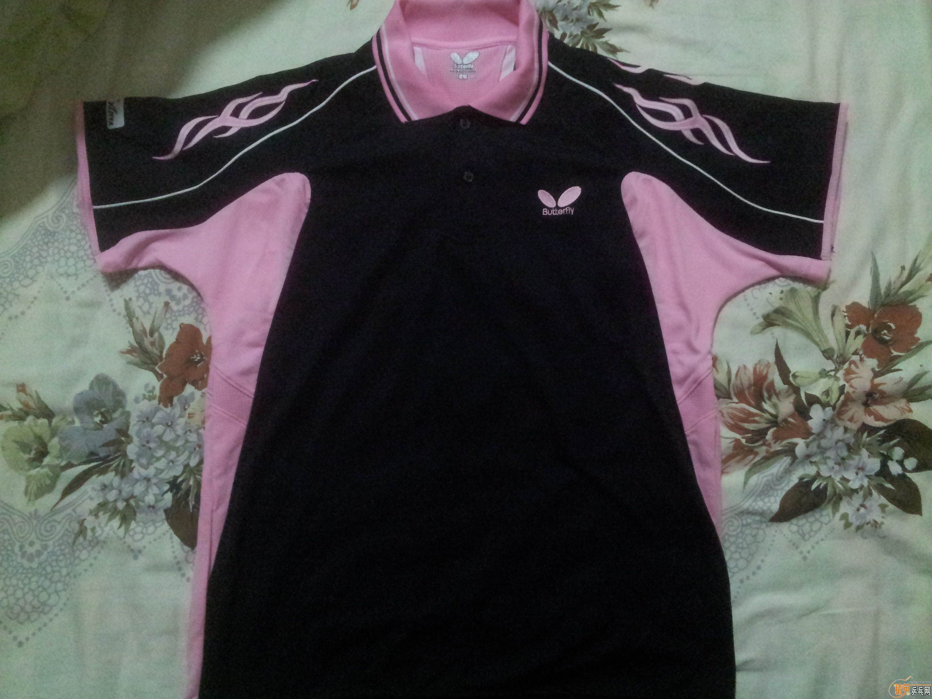 ���հ�butterflyƹ�����