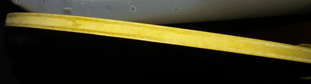 ----------------------------------------------���ſƱ�����۳���-------------------------------------------