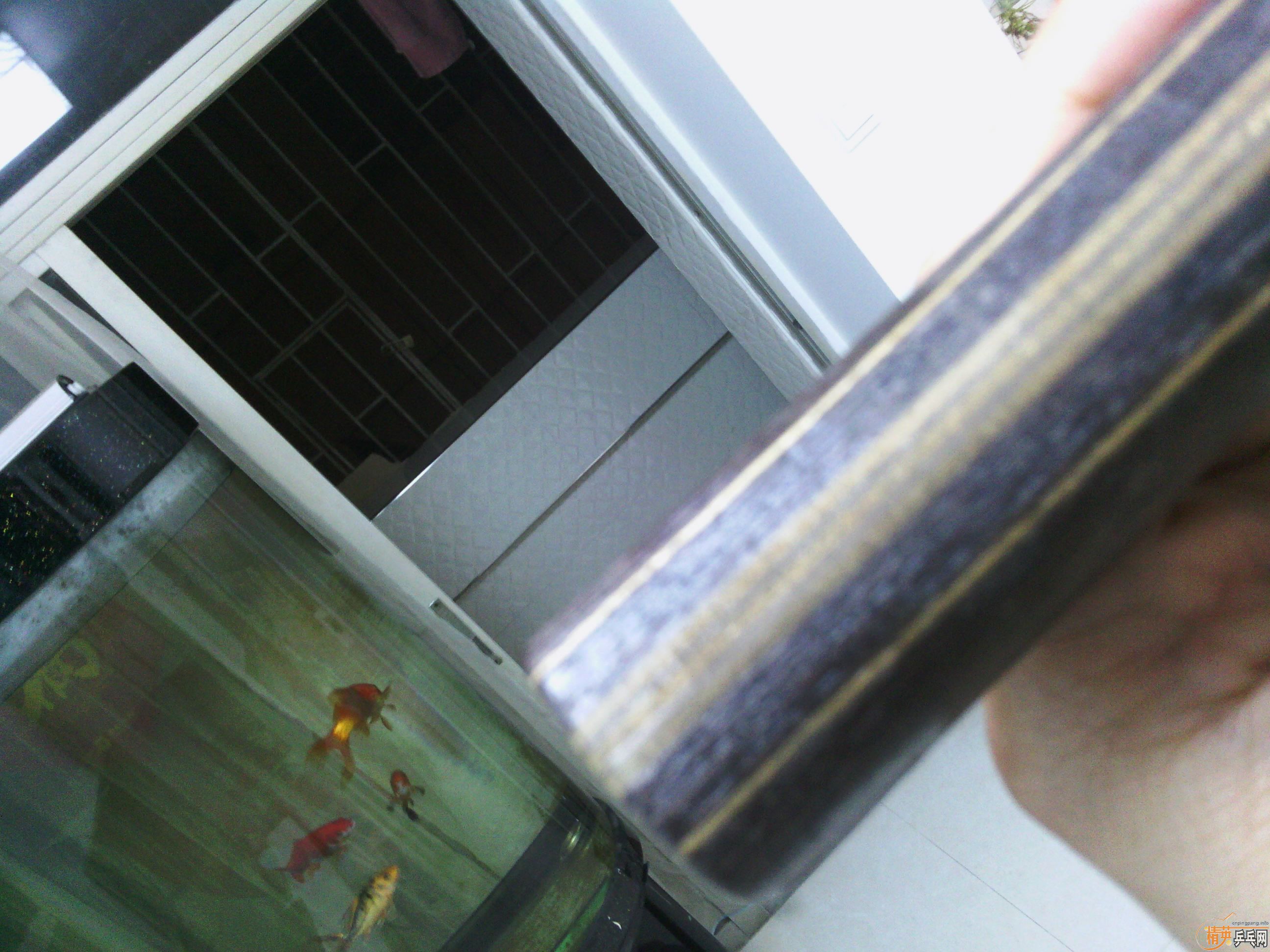 ���л���7��֧��������