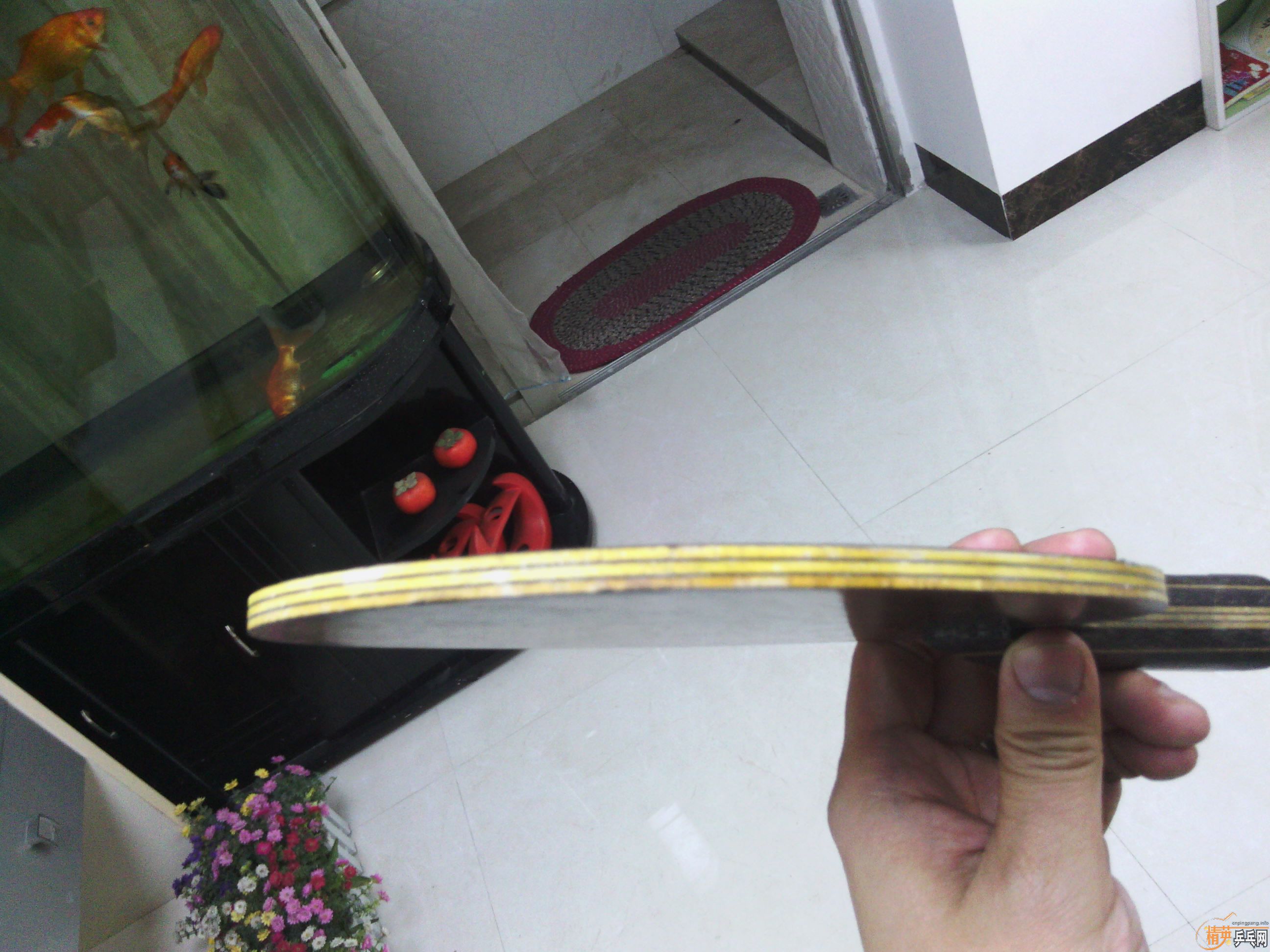 ���л���7��֧��������