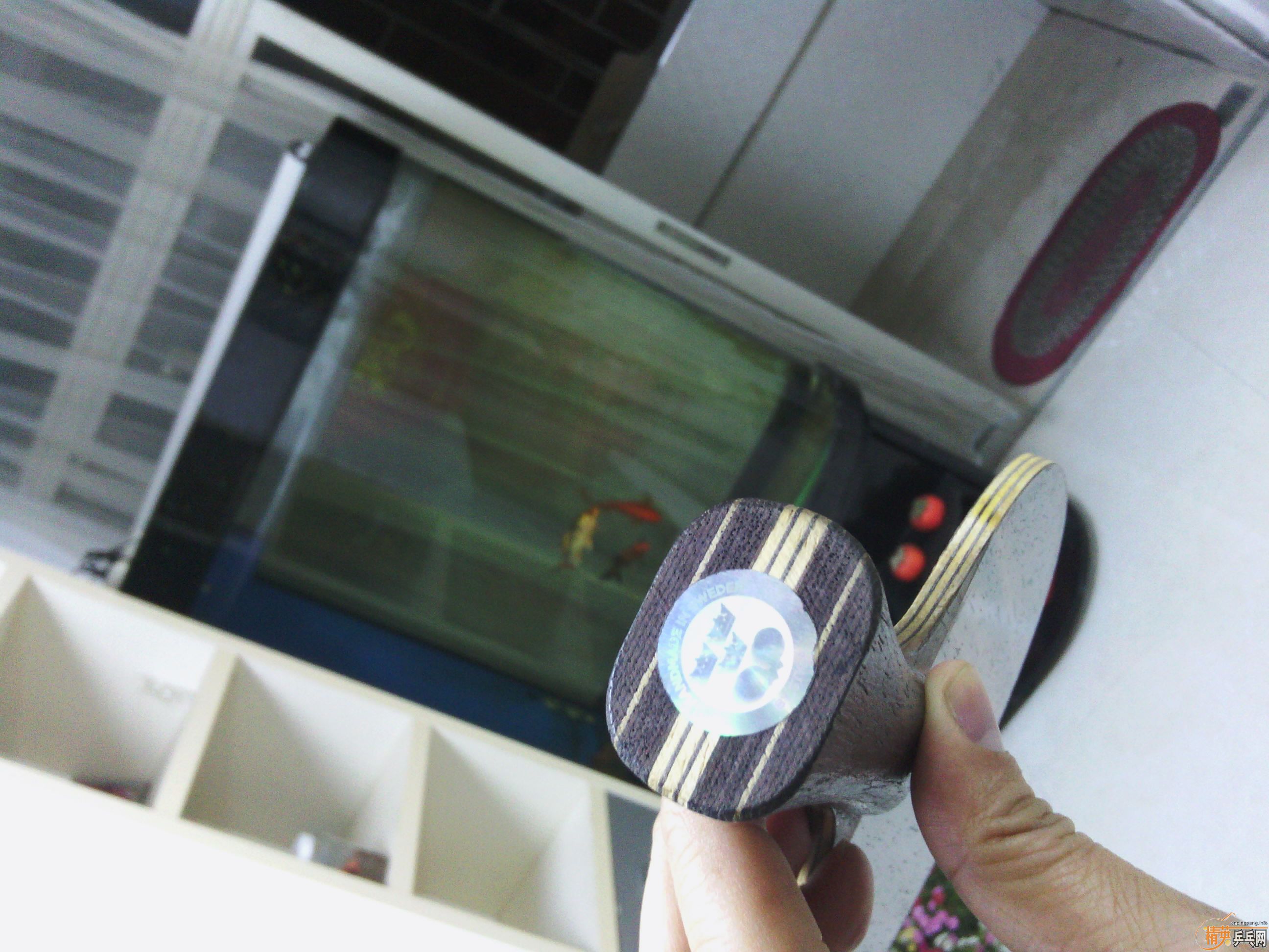 ���л���7��֧��������