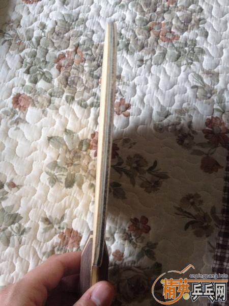 �������л���������Ī����20740 FL��ľ  84��