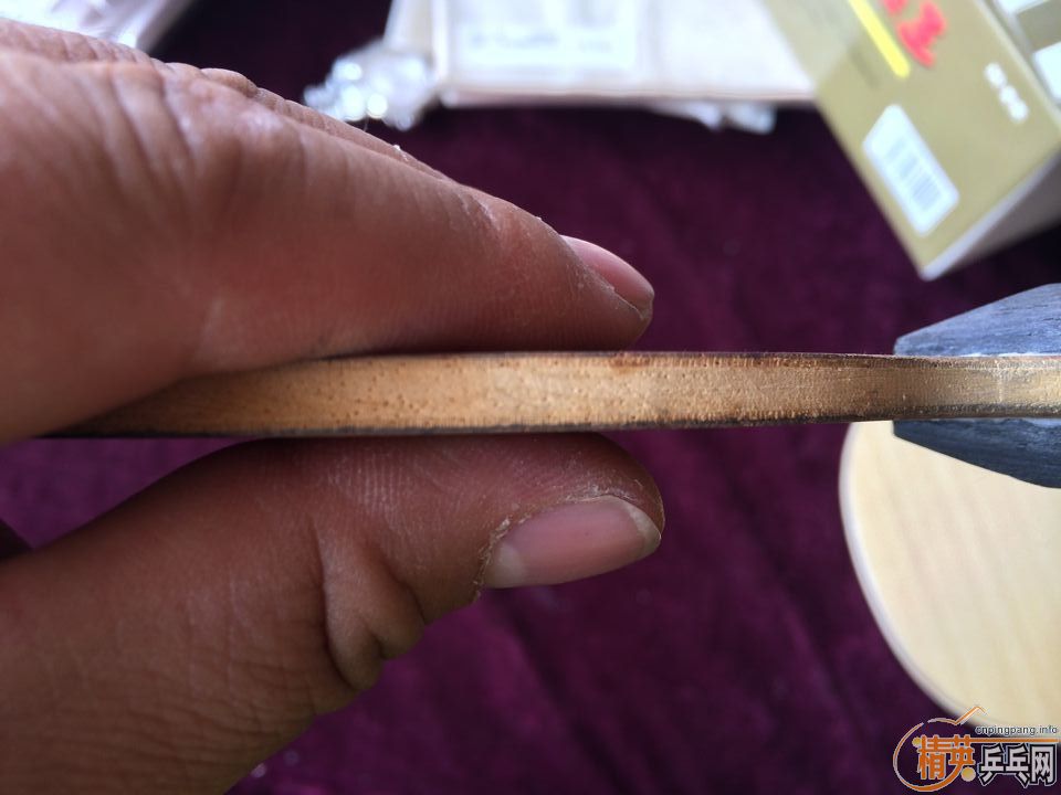 JOOLA ��˹��ȷ Rossi Exact   160�����