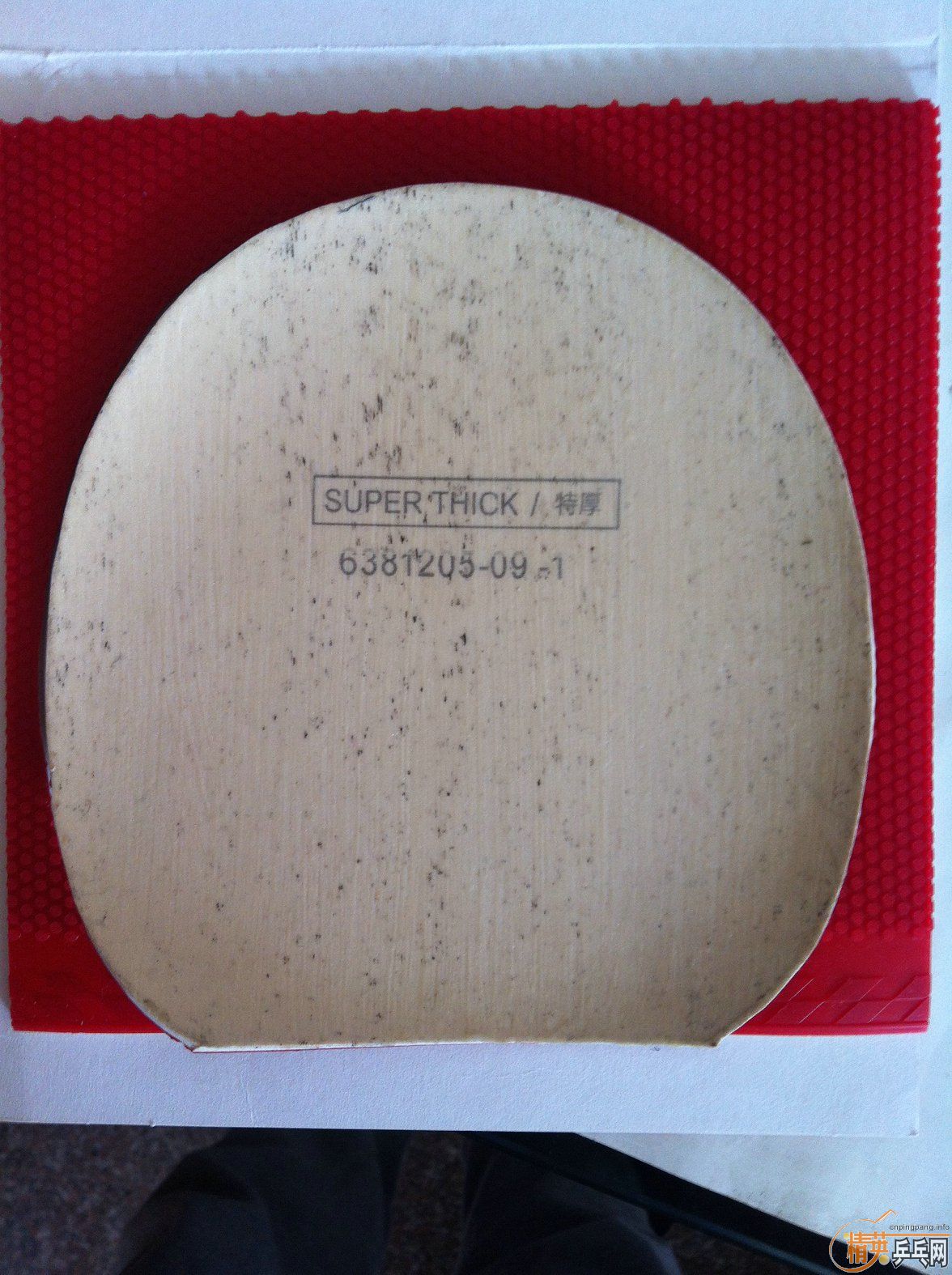 100nittakuĪ˹SPmoristo sp
