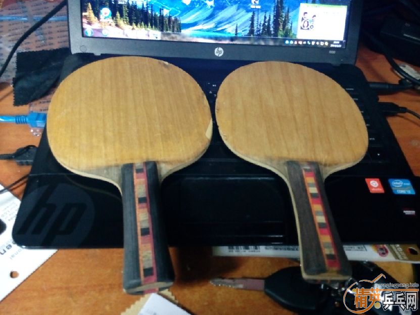 ��֧���������˴��� 2�� Donic ��̼��FL�������ˣ�      230����ͨ~~~~�ɵ���~~~~~