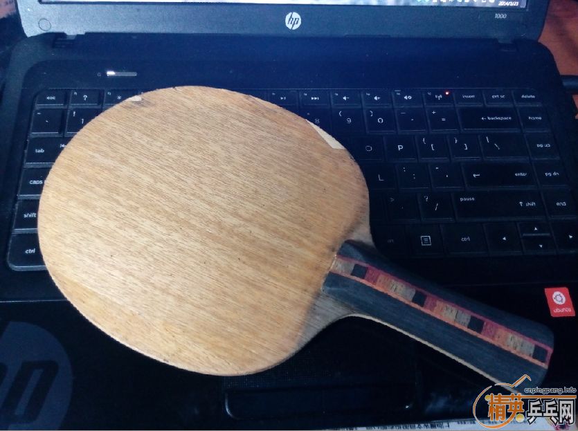 ��֧���������˴��� 2�� Donic ��̼��FL�������ˣ�      230����ͨ~~~~�ɵ���~~~~~