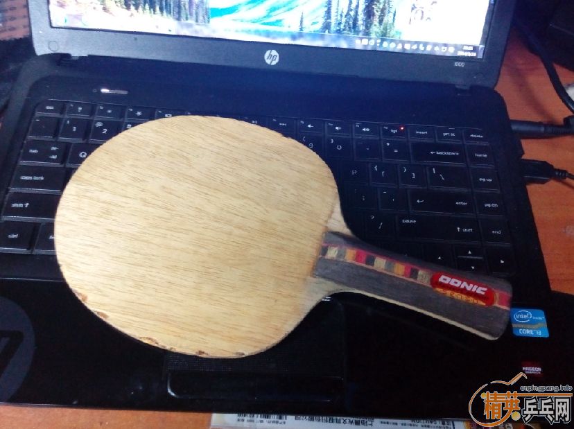 ��֧���������˴��� 2�� Donic ��̼��FL�������ˣ�      230����ͨ~~~~�ɵ���~~~~~