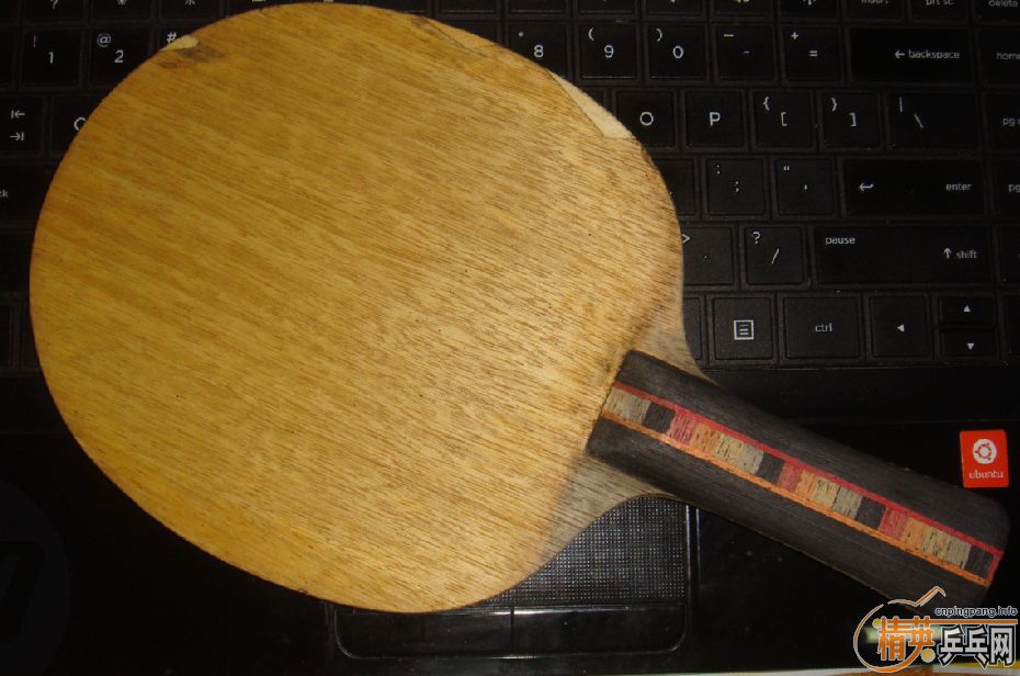 ��֧���������˴��� 2�� Donic ��̼��FL�������ˣ�      230����ͨ~~~~�ɵ���~~~~~