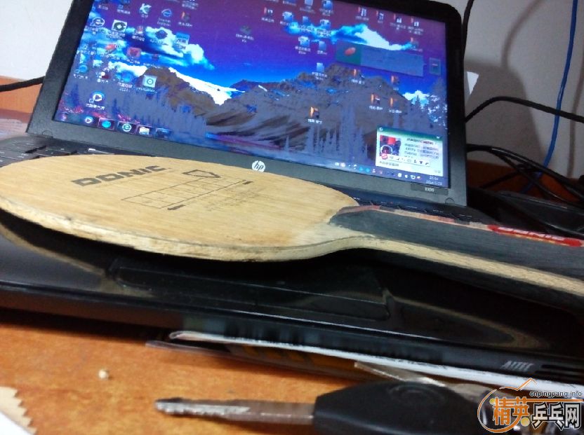 ��֧���������˴��� 2�� Donic ��̼��FL�������ˣ�      230����ͨ~~~~�ɵ���~~~~~