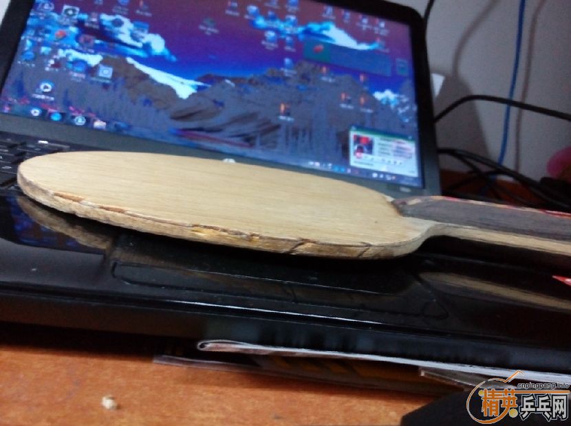 ��֧���������˴��� 2�� Donic ��̼��FL�������ˣ�      230����ͨ~~~~�ɵ���~~~~~