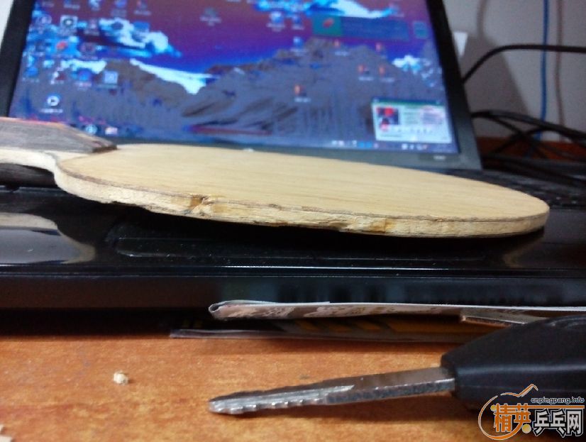 ��֧���������˴��� 2�� Donic ��̼��FL�������ˣ�      230����ͨ~~~~�ɵ���~~~~~