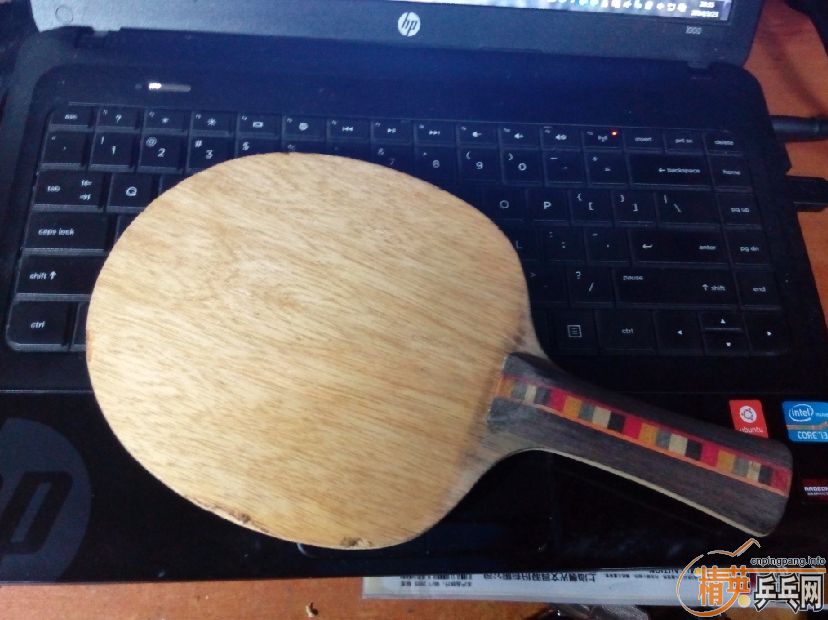 ��֧���������˴��� 2�� Donic ��̼��FL�������ˣ�      230����ͨ~~~~�ɵ���~~~~~