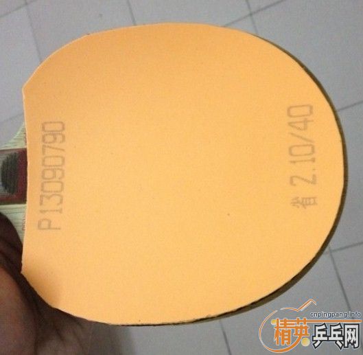 neoʡ��100���ϴ�