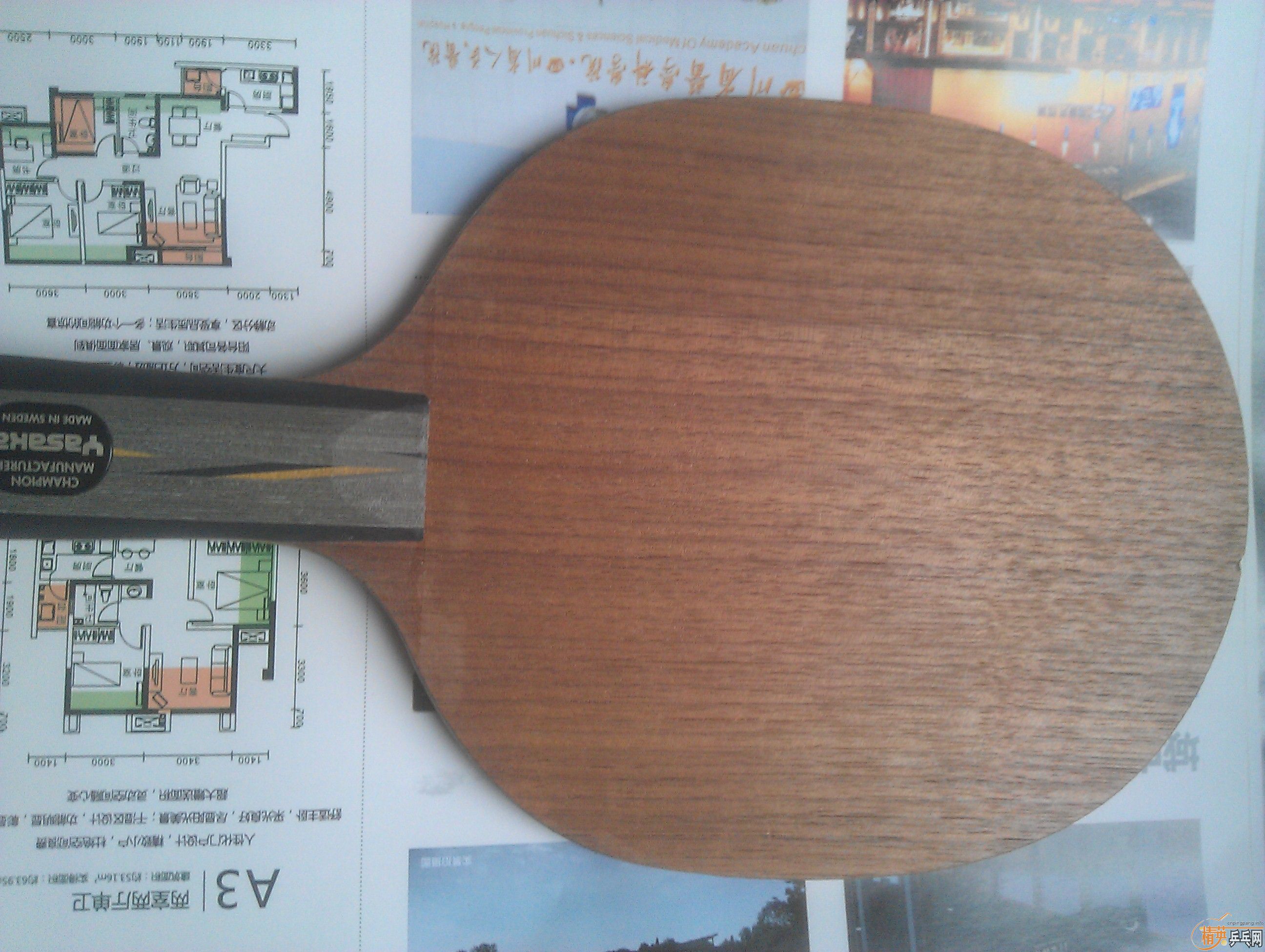 ������yeo������