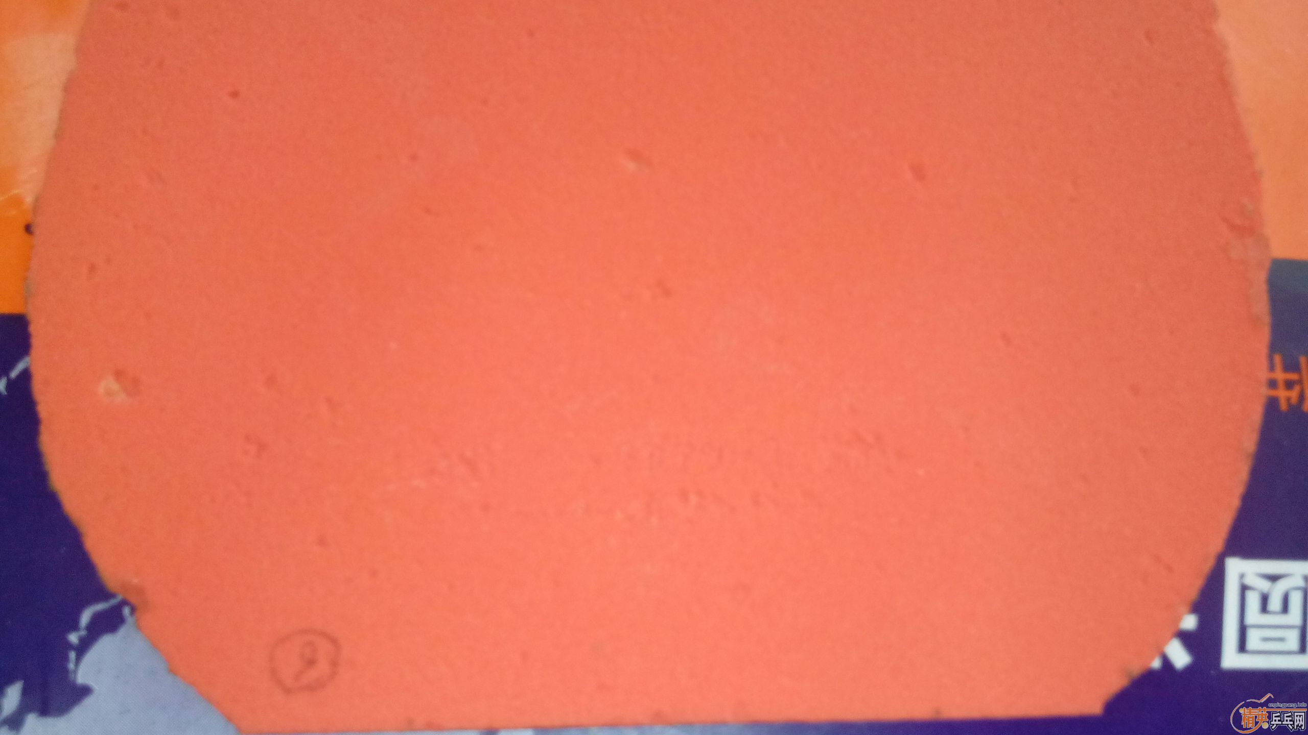 t05��ͬ��ɫ��ֱ����05.64����