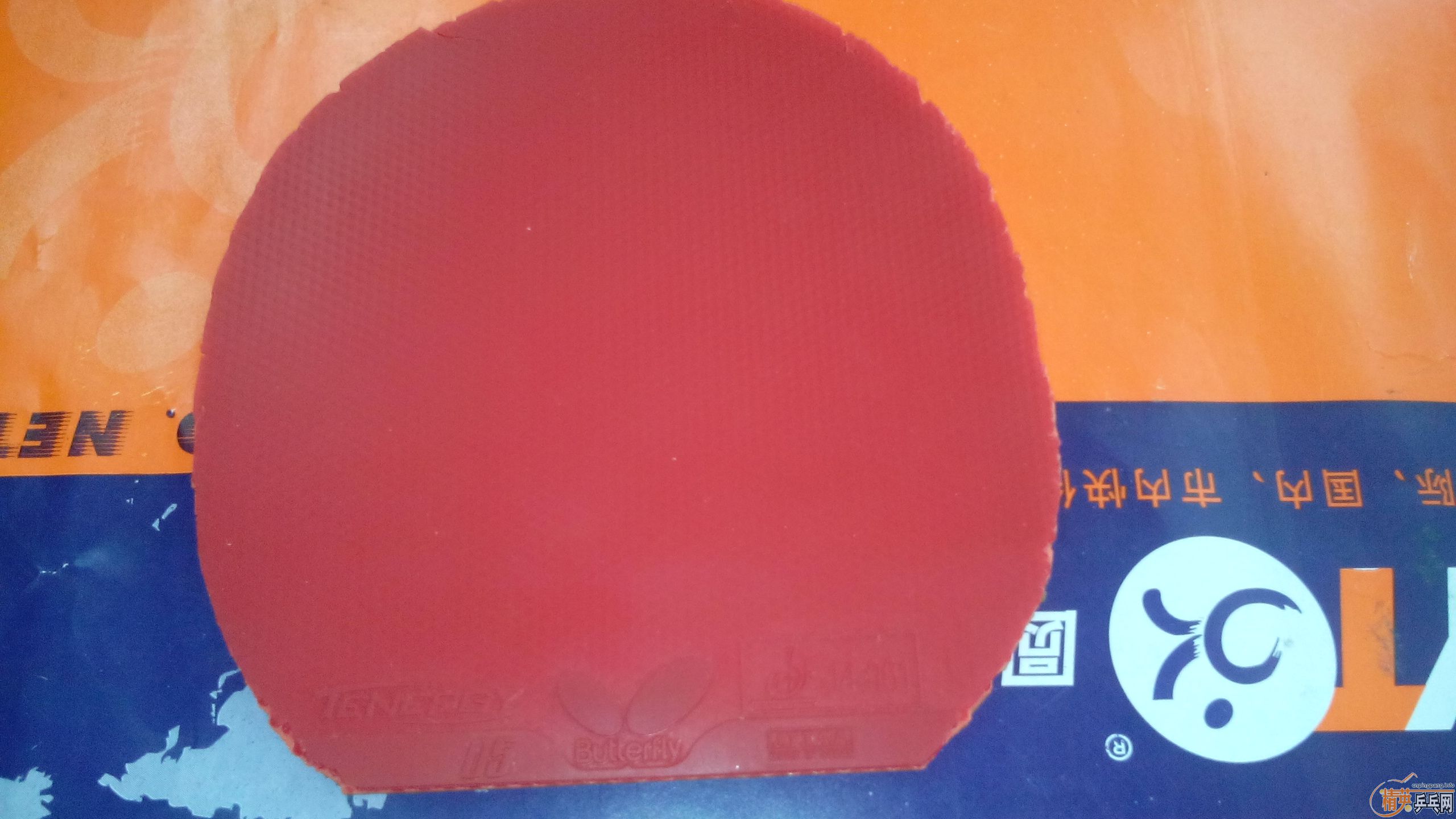 t05��ͬ��ɫ��ֱ����05.64����