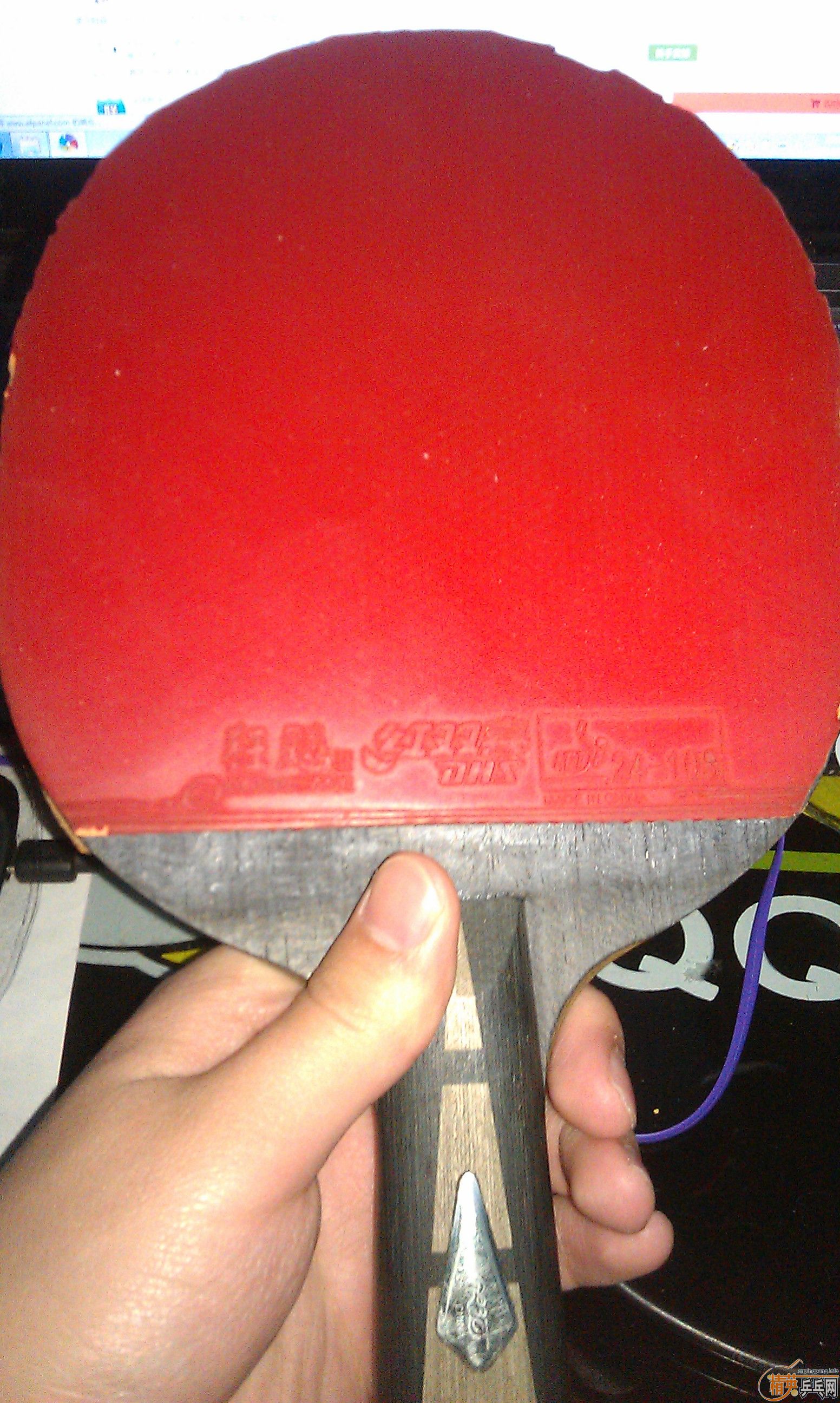 ѧ���������ĳ��ۡ���˦�������������