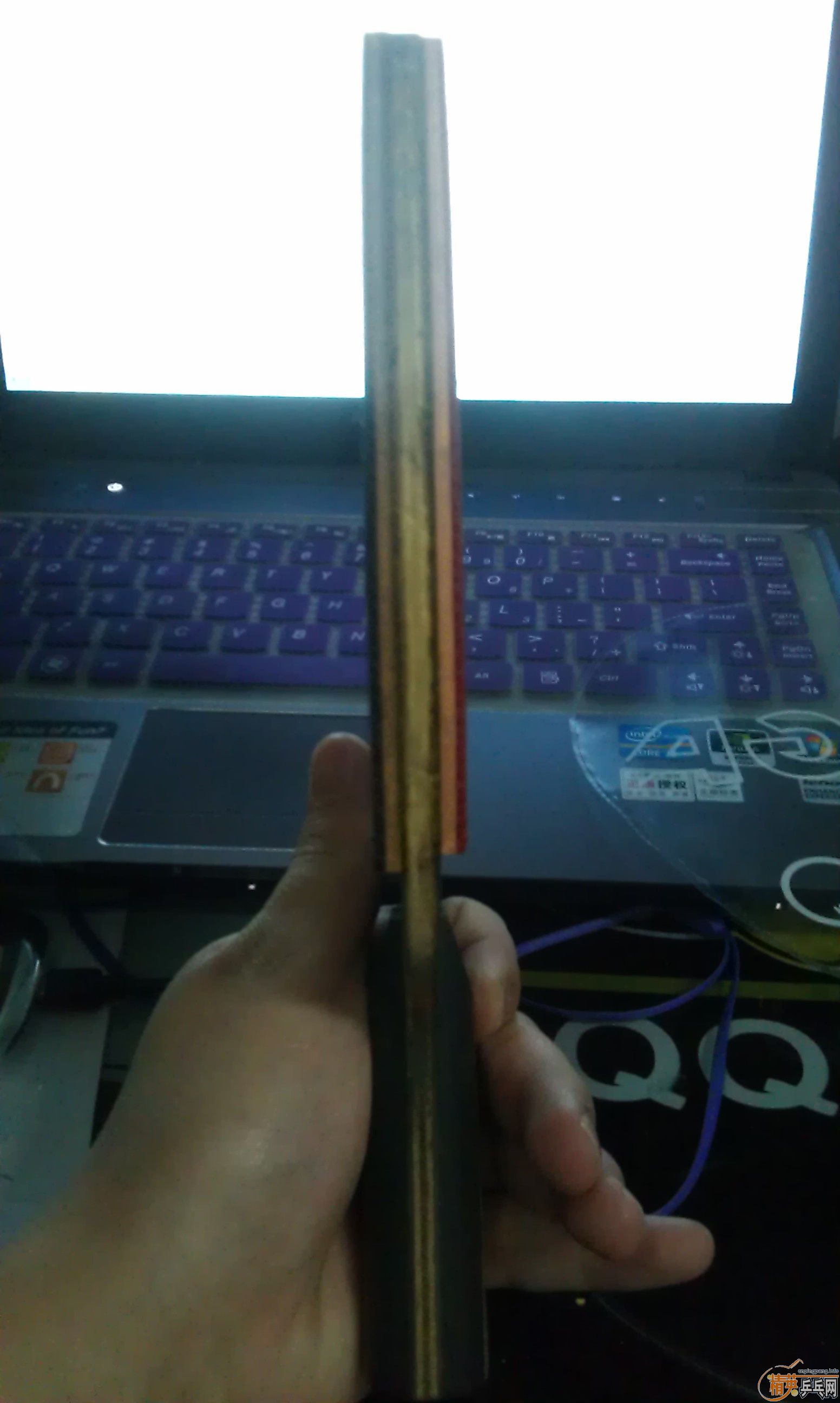 ѧ���������ĳ��ۡ���˦�������������