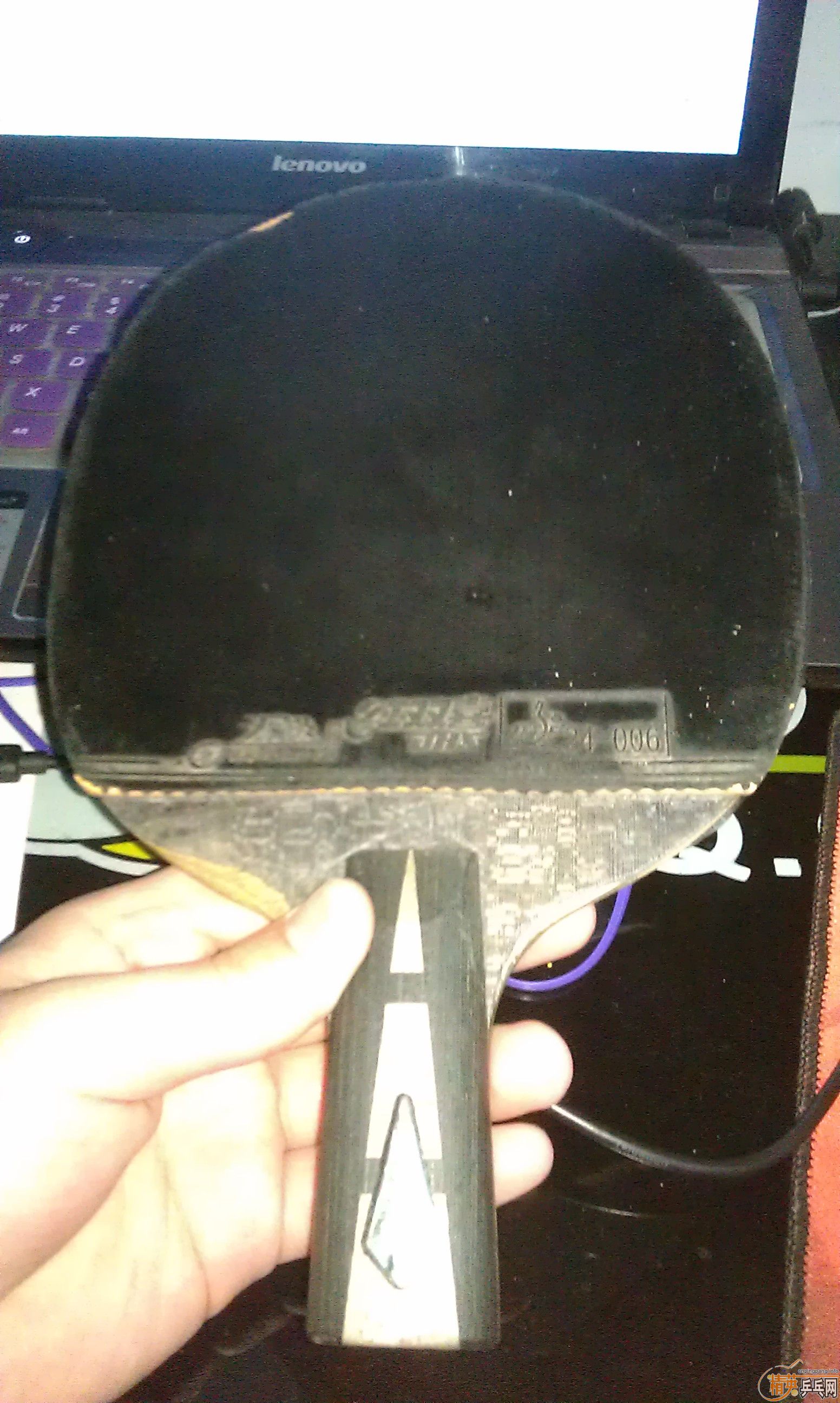 ѧ���������ĳ��ۡ���˦�������������