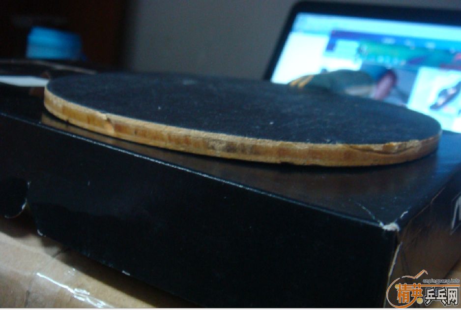 ��֧�������� Stiga ��ˮ��~~~~~~~~~~~~~~~~~