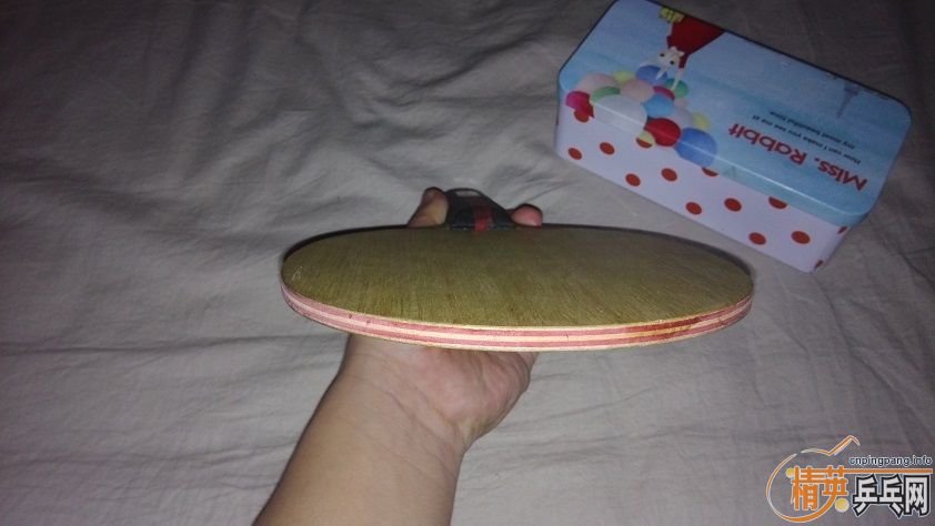 ����֧����BANDA����--------------------------CL--------EG--------------------------