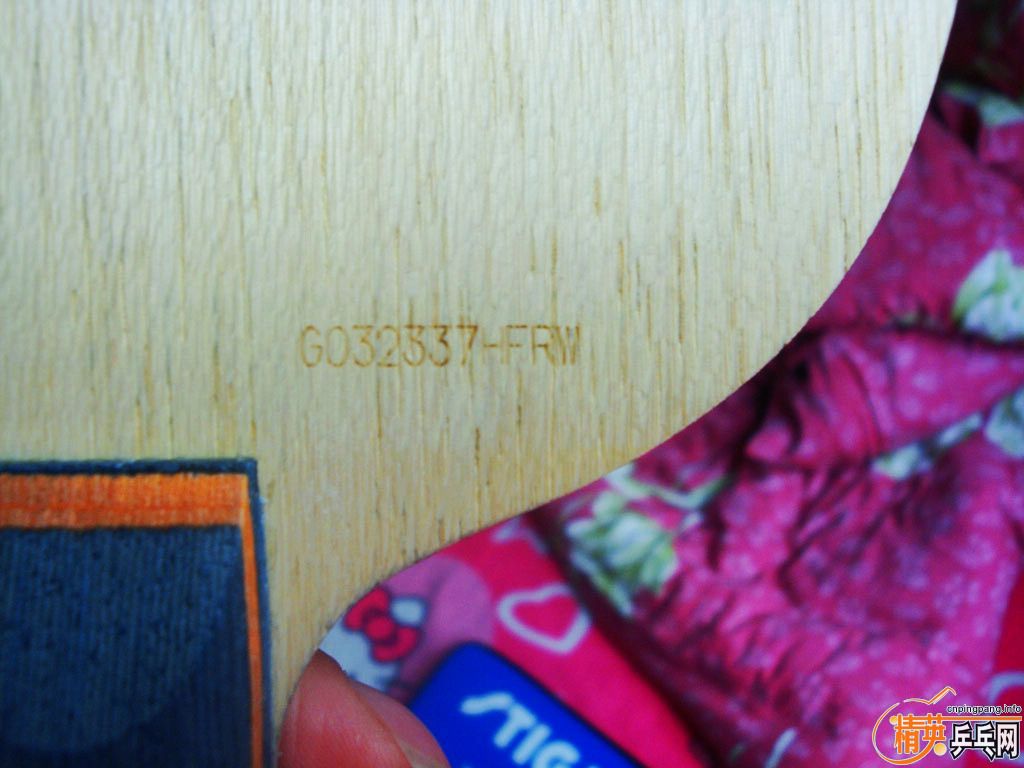 ���� ������ ��boll ��tbs ����