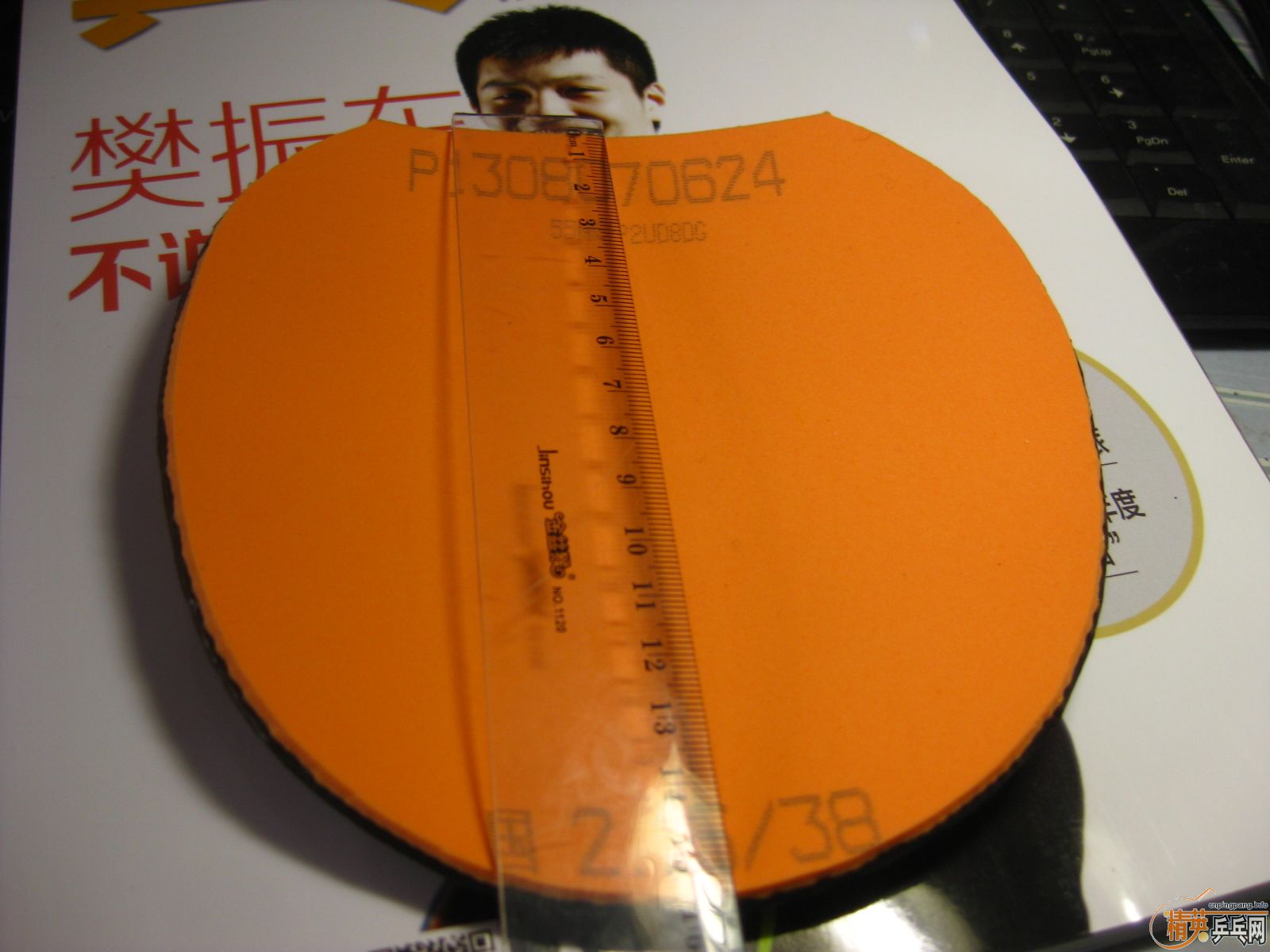 [�Ƽ�]Neo����+���ɵ� �£�260����