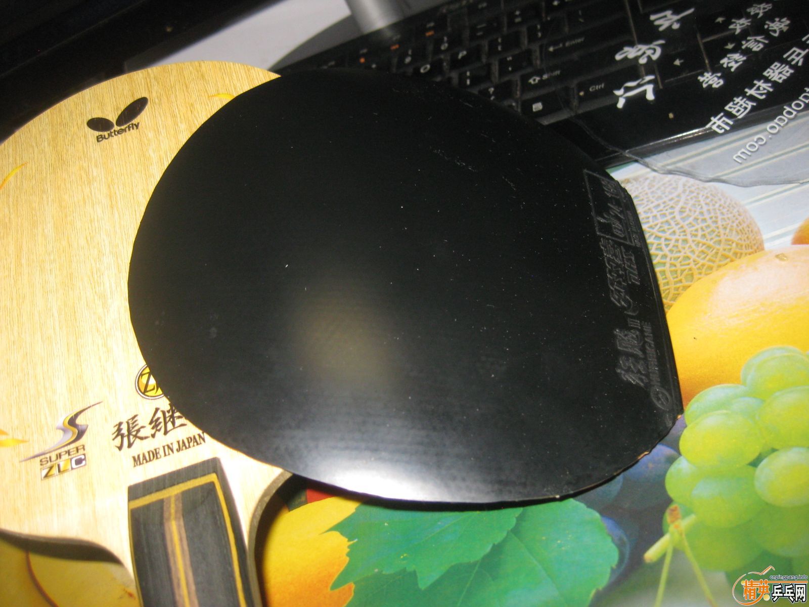 [�Ƽ�]Neo����+���ɵ� �£�260����