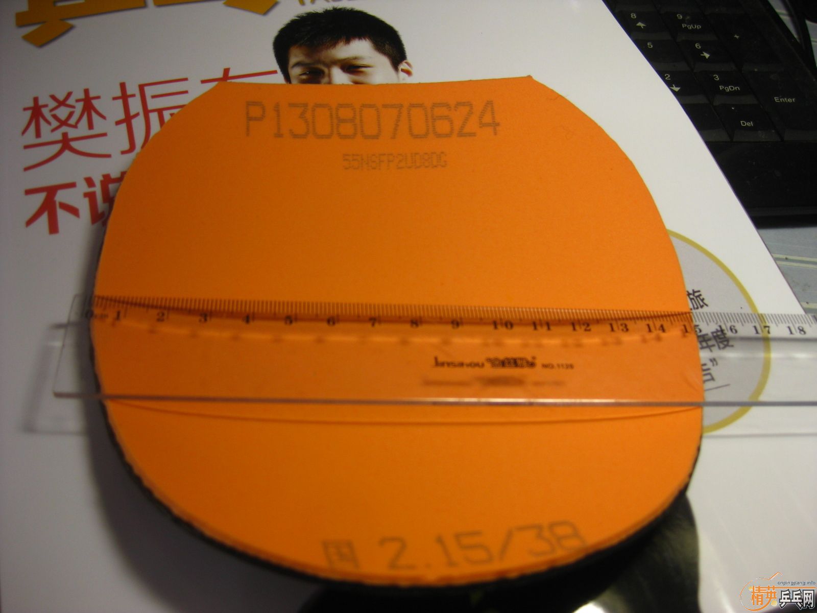 [�Ƽ�]Neo����+���ɵ� �£�260����