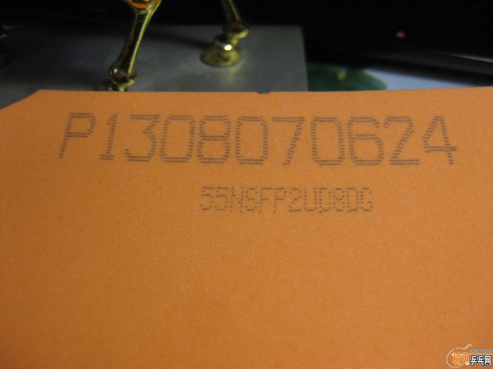 [�Ƽ�]Neo����+���ɵ� �£�260����