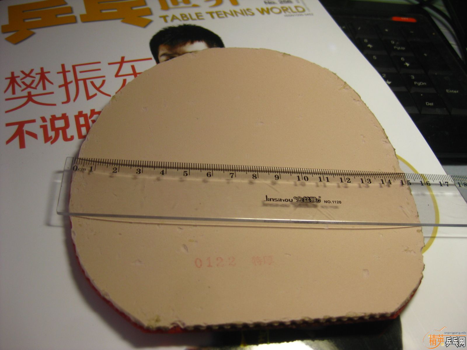 [�Ƽ�]Neo����+���ɵ� �£�260����