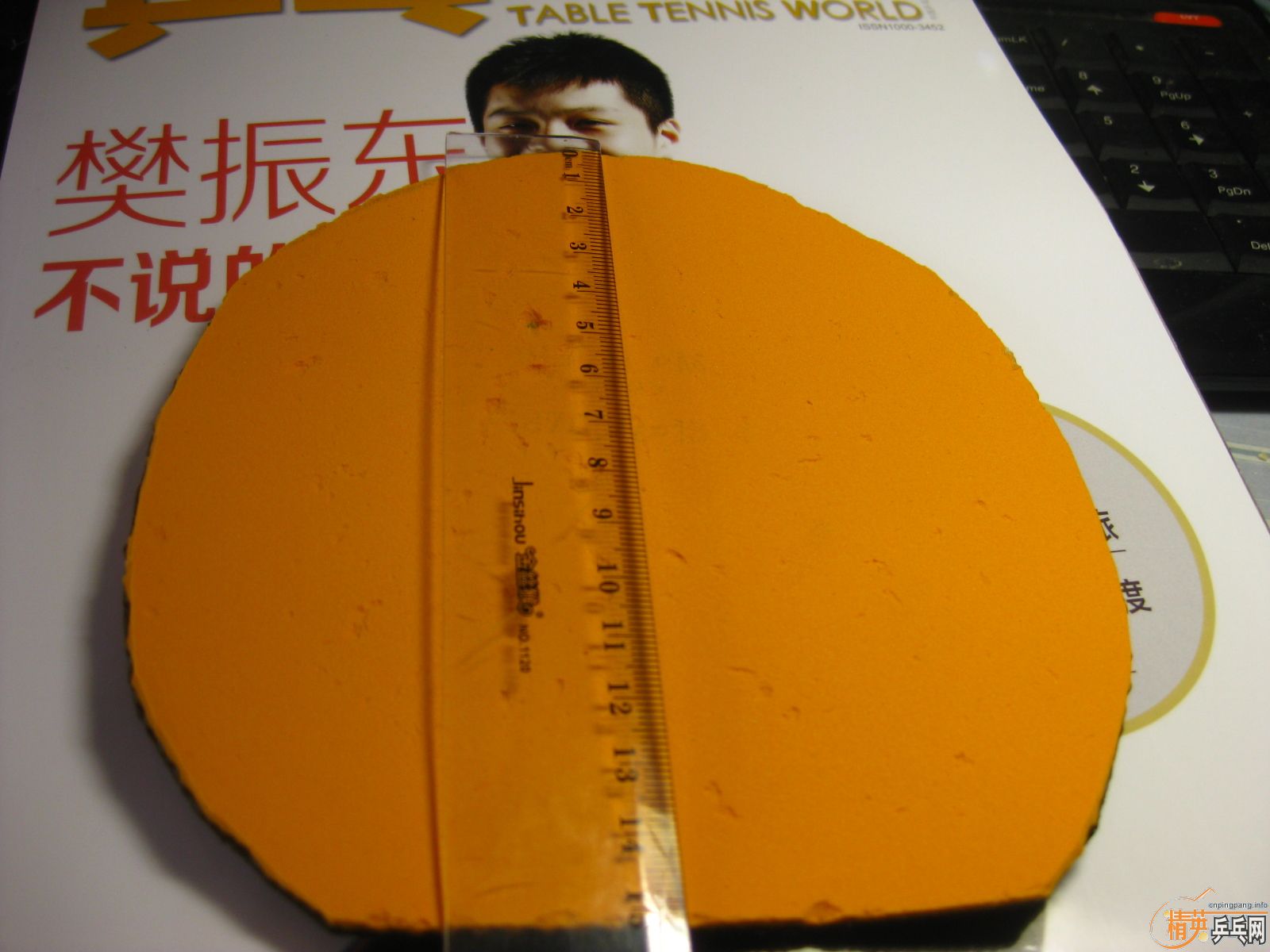 [�Ƽ�]Neo����+���ɵ� �£�260����