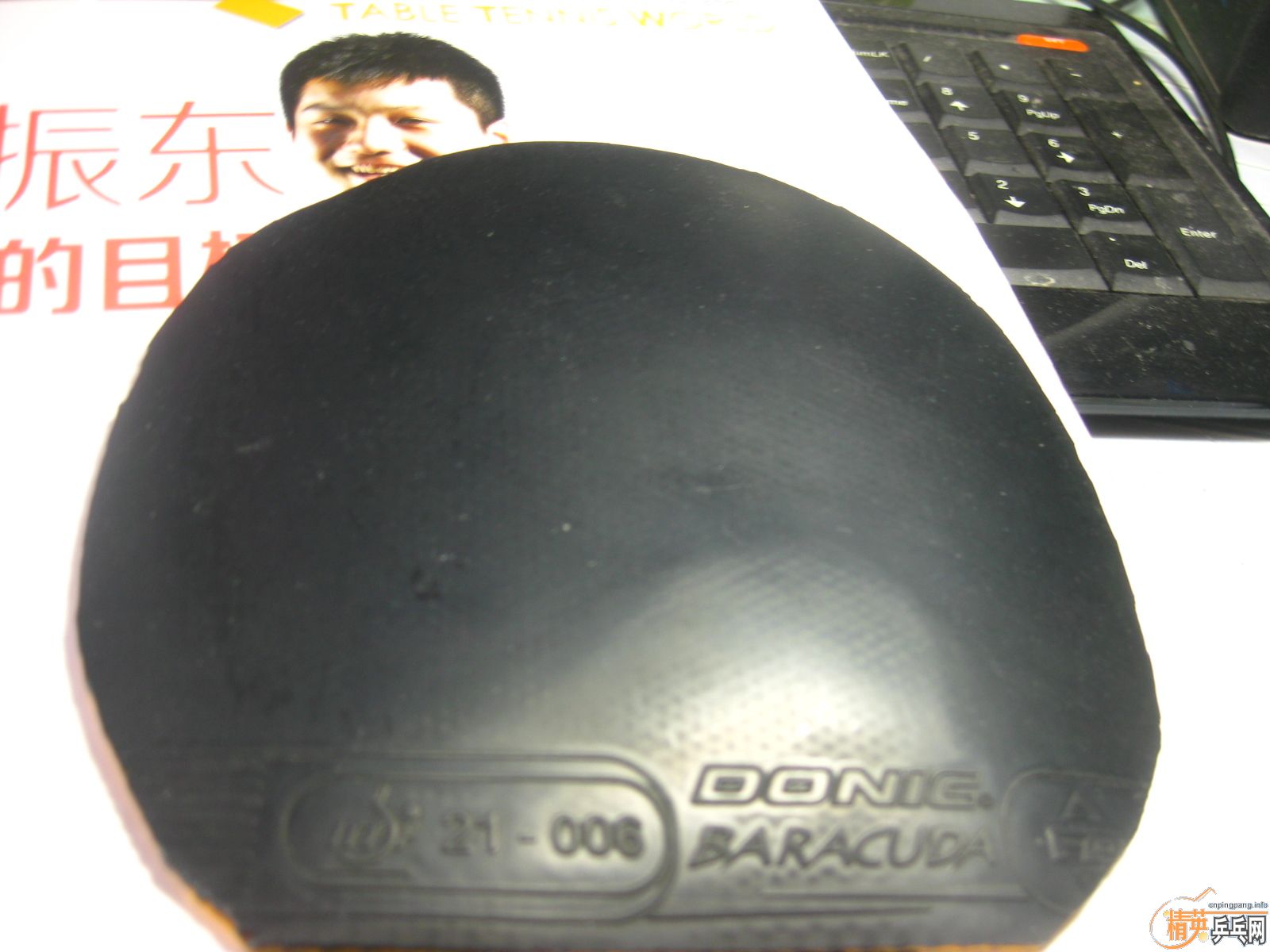 [�Ƽ�]Neo����+���ɵ� �£�260����