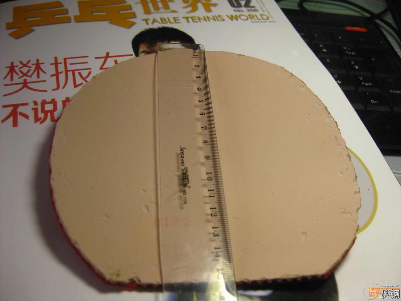 [�Ƽ�]Neo����+���ɵ� �£�260����