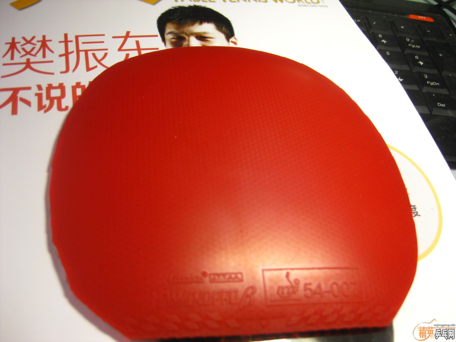 [�Ƽ�]Neo����+���ɵ� �£�260����