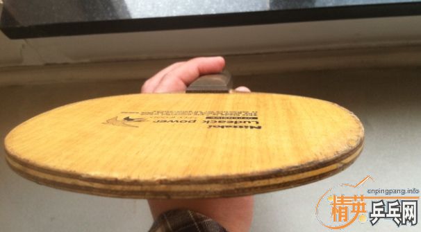 @@@���������Բ��@@@300Ԫ����֧����