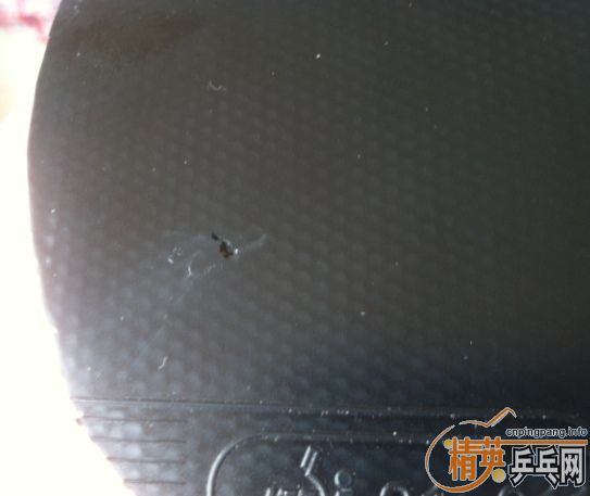 @@@�����F2,S1 ����500 ��Ҫ�ڽ�!@@@