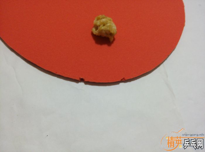 ���Ŀ�T05     һ��T05FX     һ��T25      һ��T25FX��