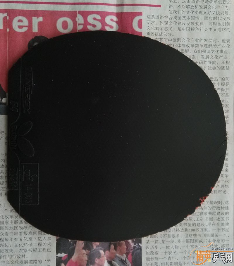 ����ɫT64�ͺ�ɫŷ��٤2