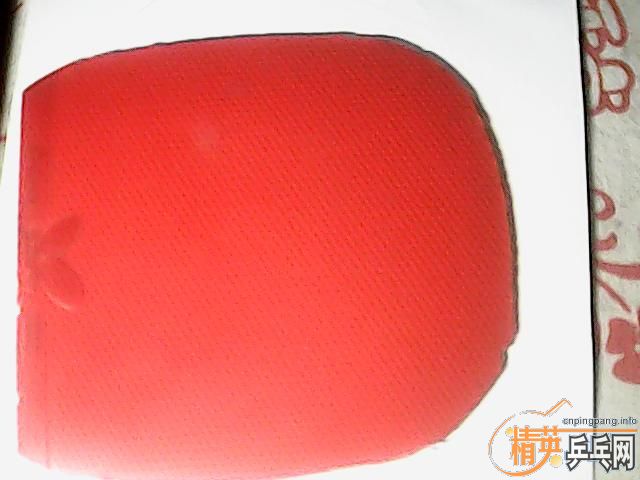 t05��ͬ��ɫ��ֱ����05.64����