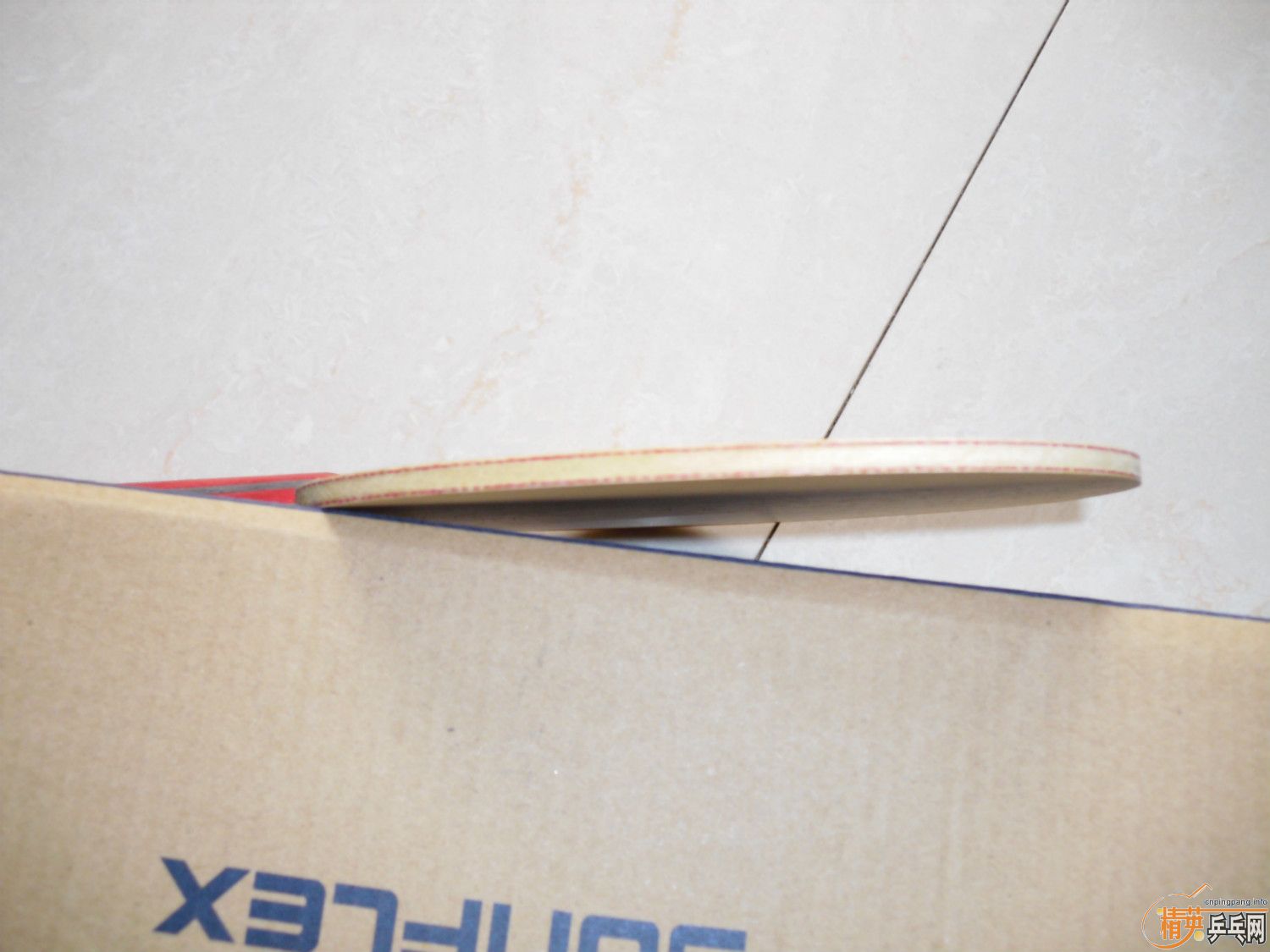 ���˳�������������