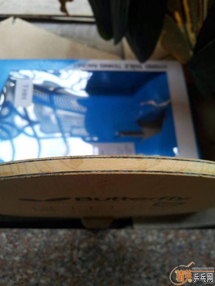 �����ѳ���ֻ��������������