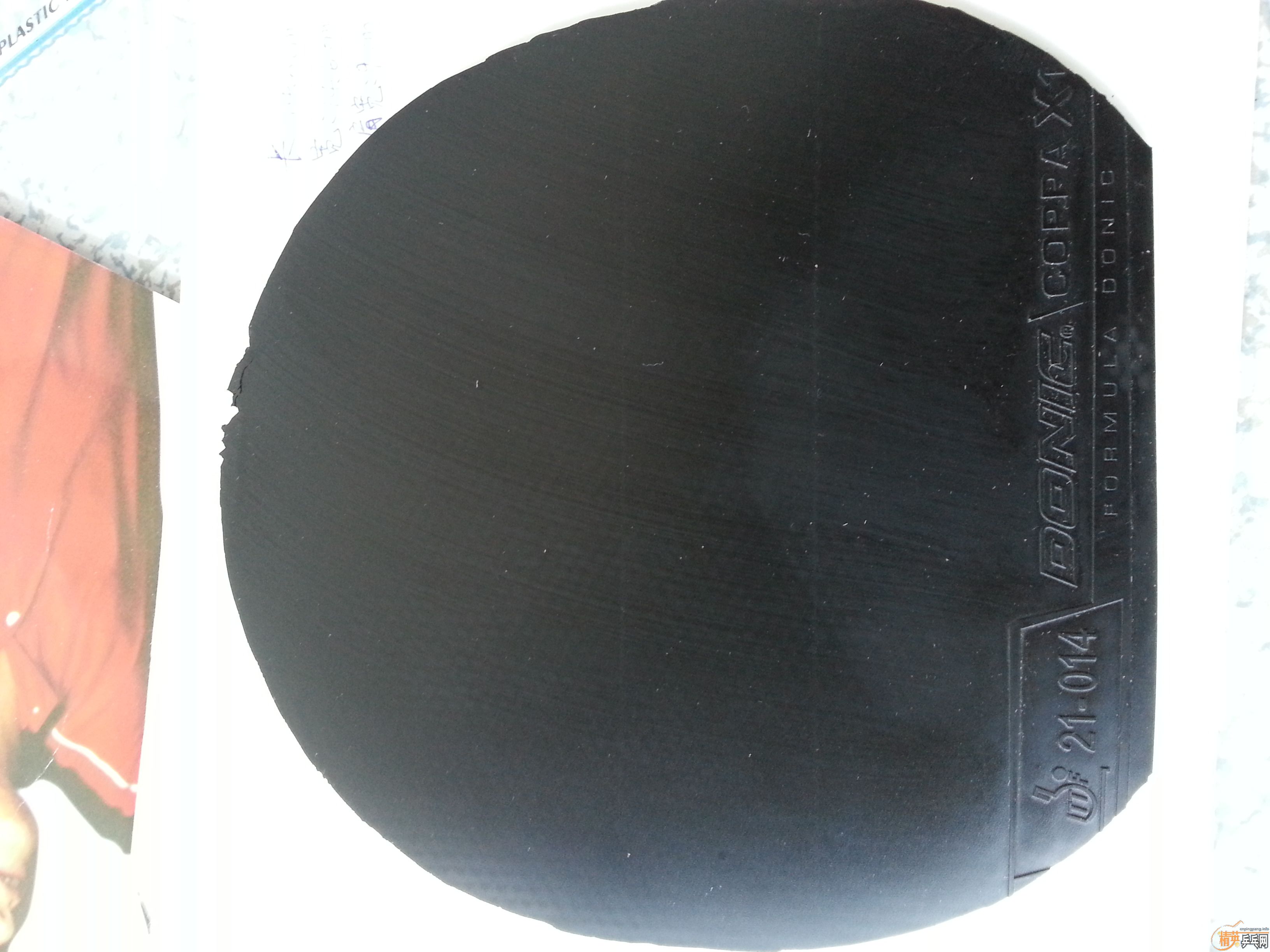 �������X1��F1��˹�ٿ�EG����