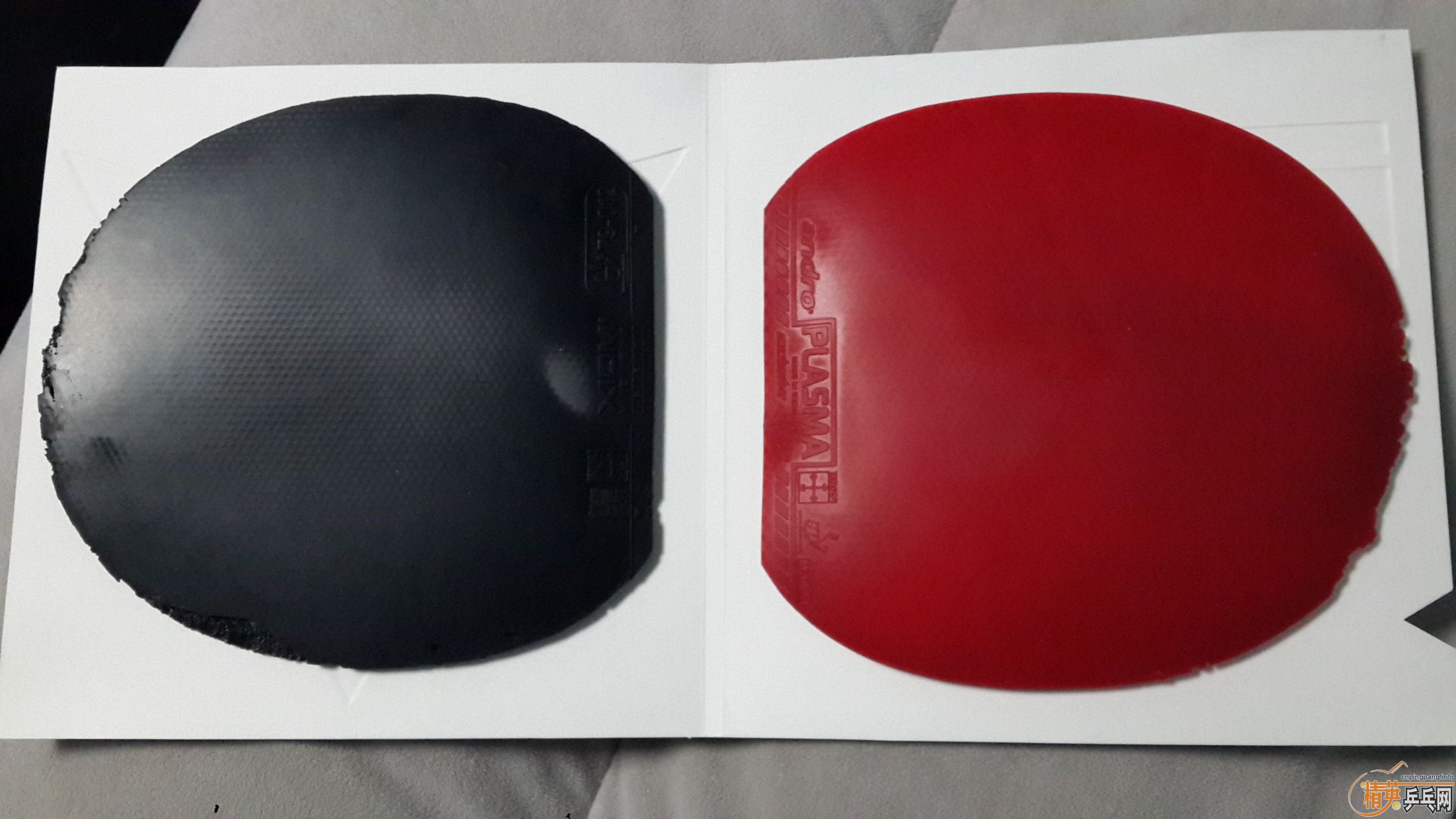 XIOM ��V + Ѫ��430