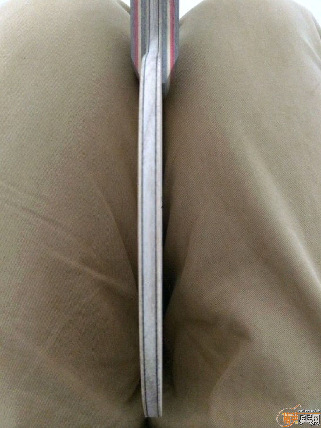 �л���̼������