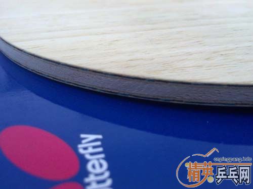 ST��עVIS������������������������FL��עVIS����������