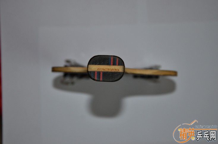 ��һֻ���л�����oc