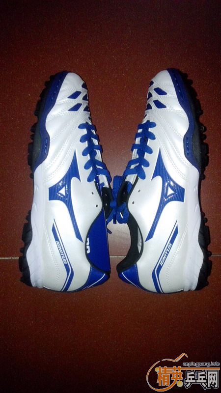 ��δ�õ���ƷMIZUNO�鶤����Ьһ��,40.5��,֧��������,����Ȥ����
