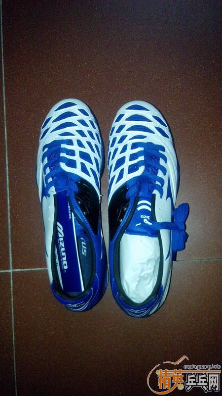 ��δ�õ���ƷMIZUNO�鶤����Ьһ��,40.5��,֧��������,����Ȥ����